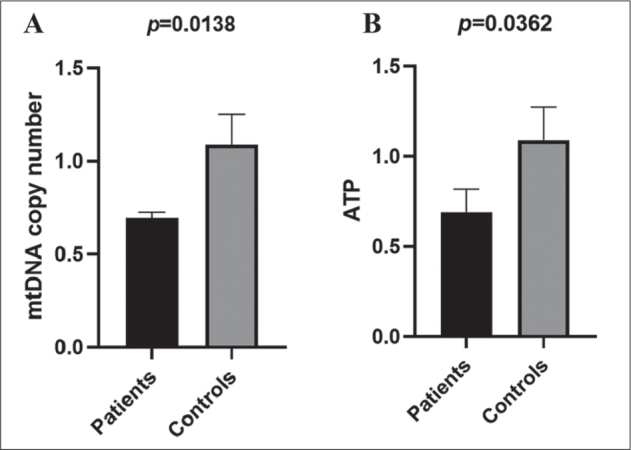 Analysis of Mitochondrial Transfer RNA Mutations in Breast Cancer.