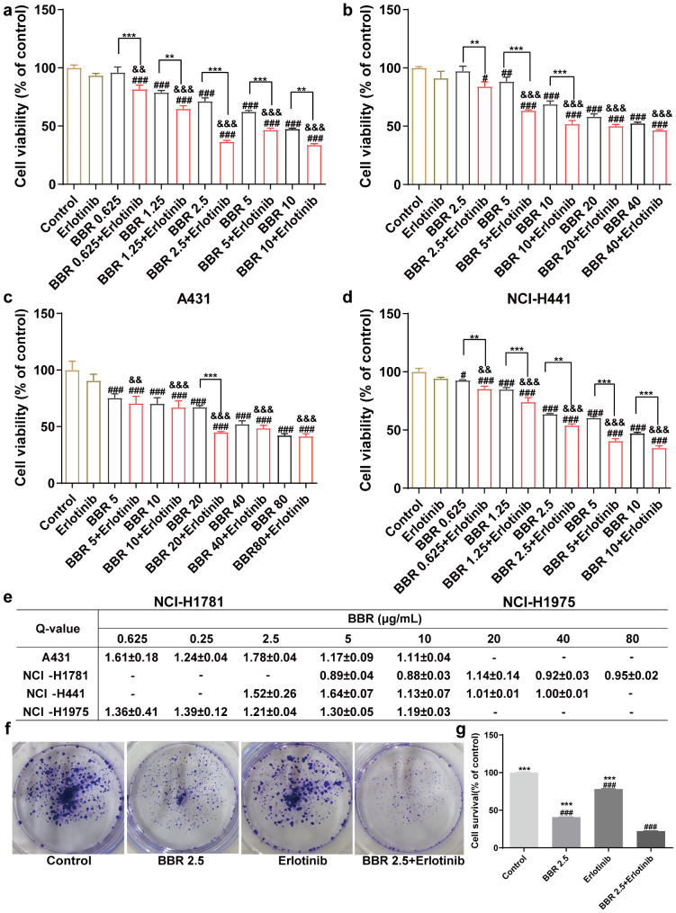 Antitumor effects of erlotinib in combination with berberine in A431 cells.