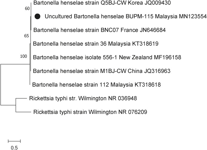 Profiling <i>Bartonella</i> infection and its associated risk factors in shelter cats in Malaysia.