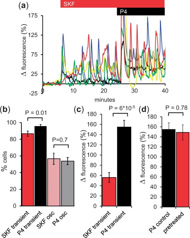 SKF96365 modulates activity of CatSper channels in human sperm.