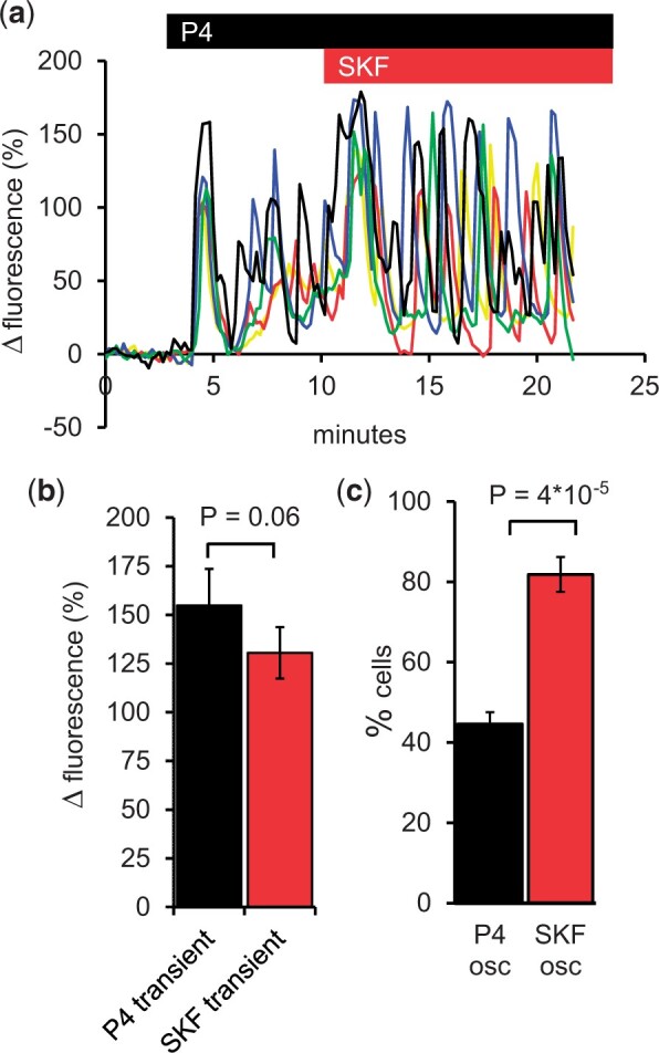 SKF96365 modulates activity of CatSper channels in human sperm.