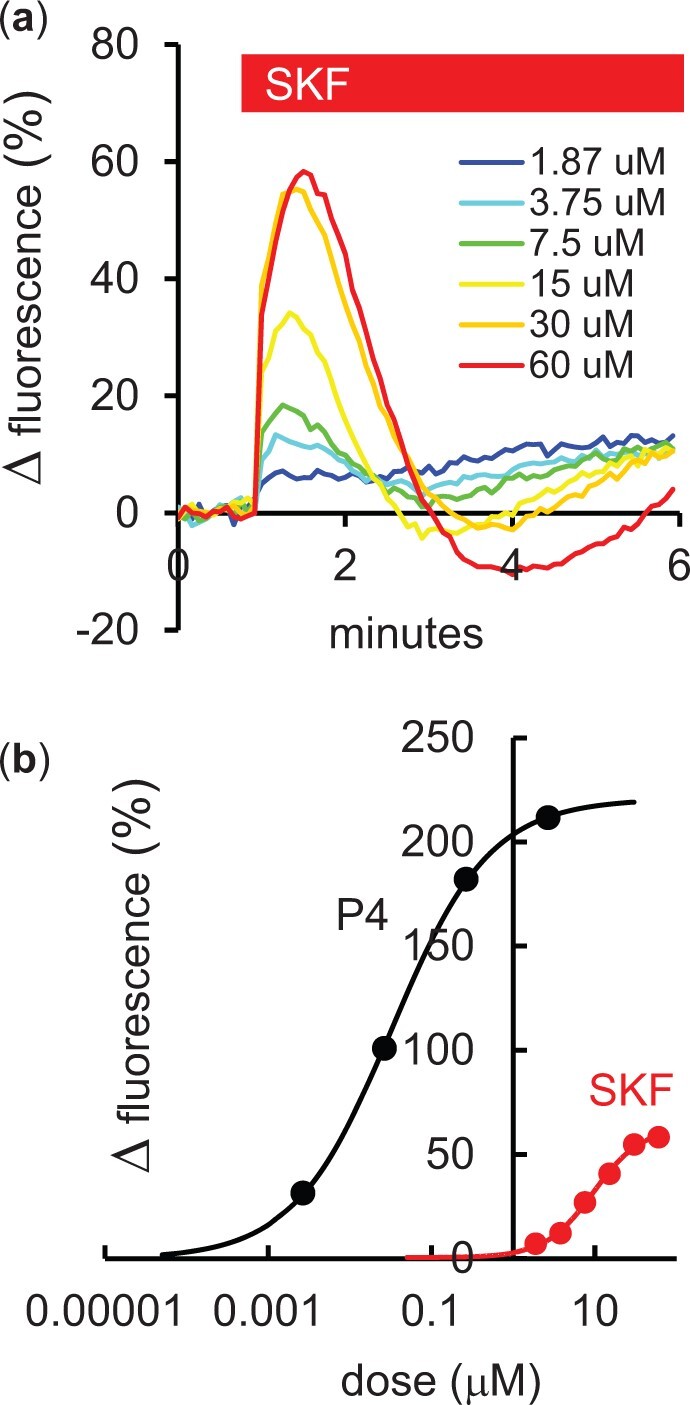 SKF96365 modulates activity of CatSper channels in human sperm.