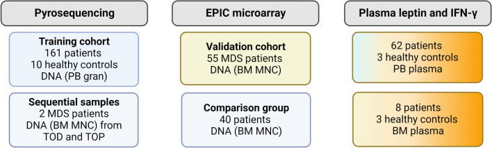 LEP promoter methylation in the initiation and progression of clonal cytopenia of undetermined significance and myelodysplastic syndrome.