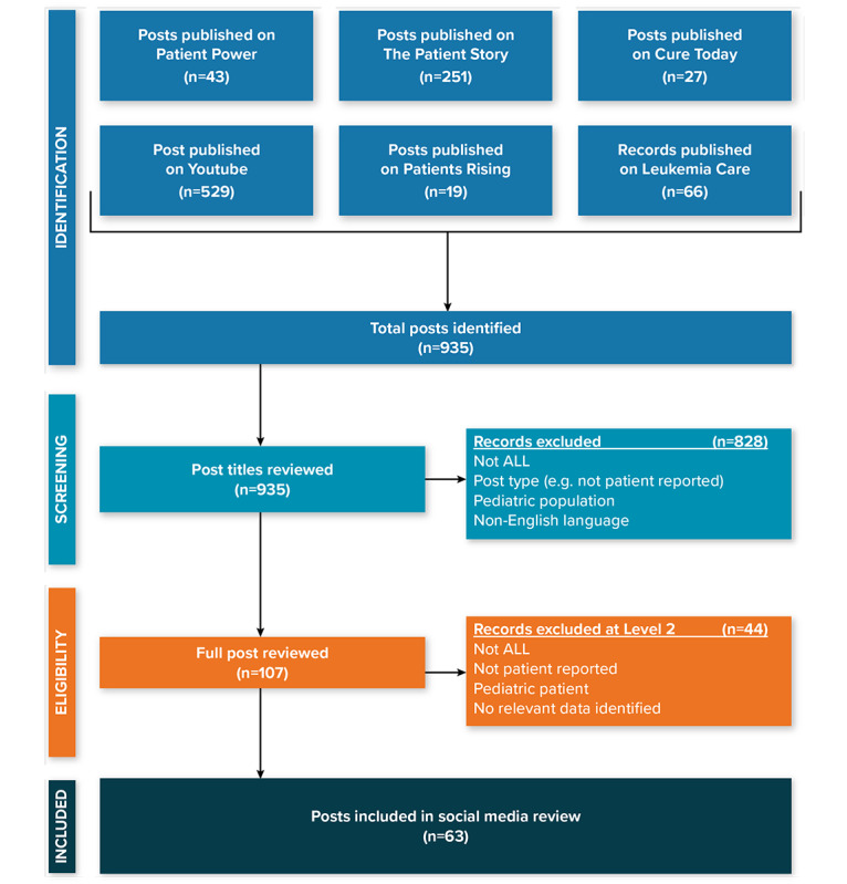 The Patient Experience of Acute Lymphoblastic Leukemia and Its Treatment: Social Media Review.