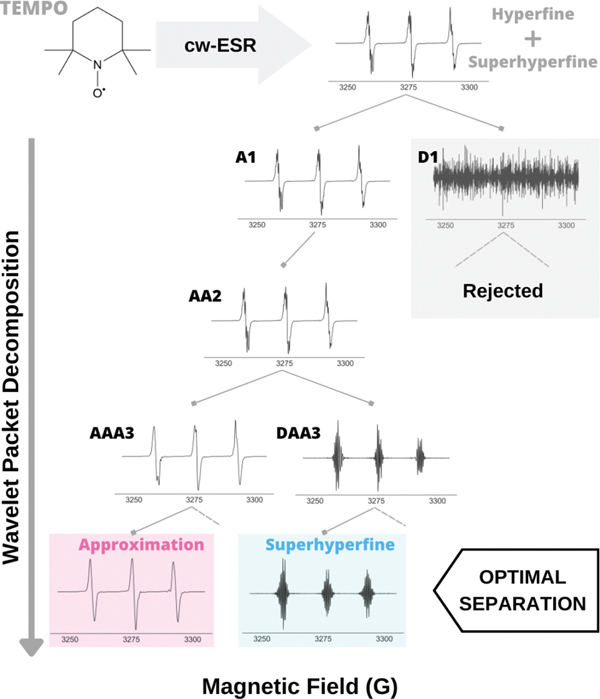 A Simulation Independent Analysis of Single- and Multi-Component cw ESR Spectra.