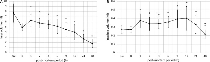 Examination of postmortem changes in the lungs, trachea, and bronchi in a rat model imaged with small-animal computed tomography.