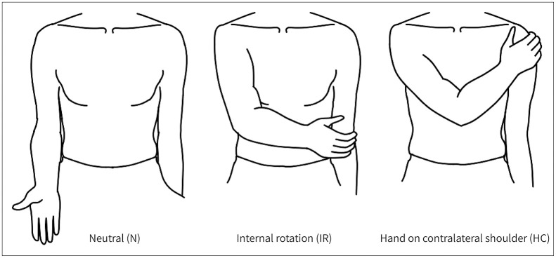 Effect of Patient's Positioning on the Grade of Tendinosis and Visible Range of Infraspinatus Tendon on Ultrasound.