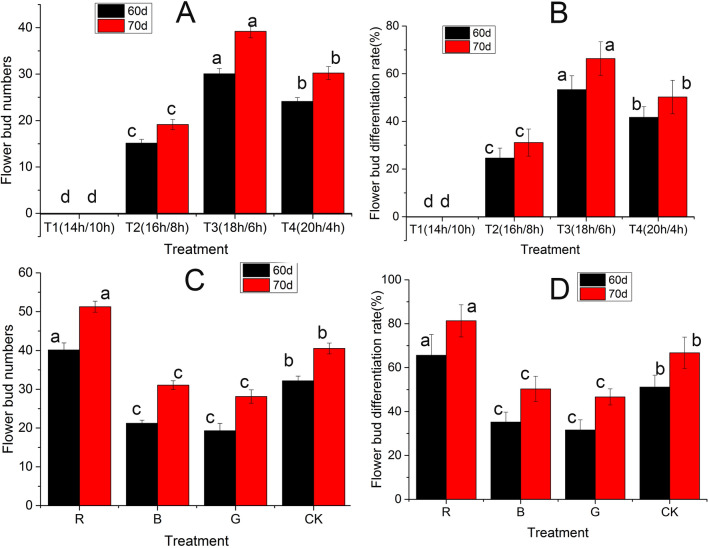 Transcriptome profiles reveal gene regulation of ginger flowering induced by photoperiod and light quality.