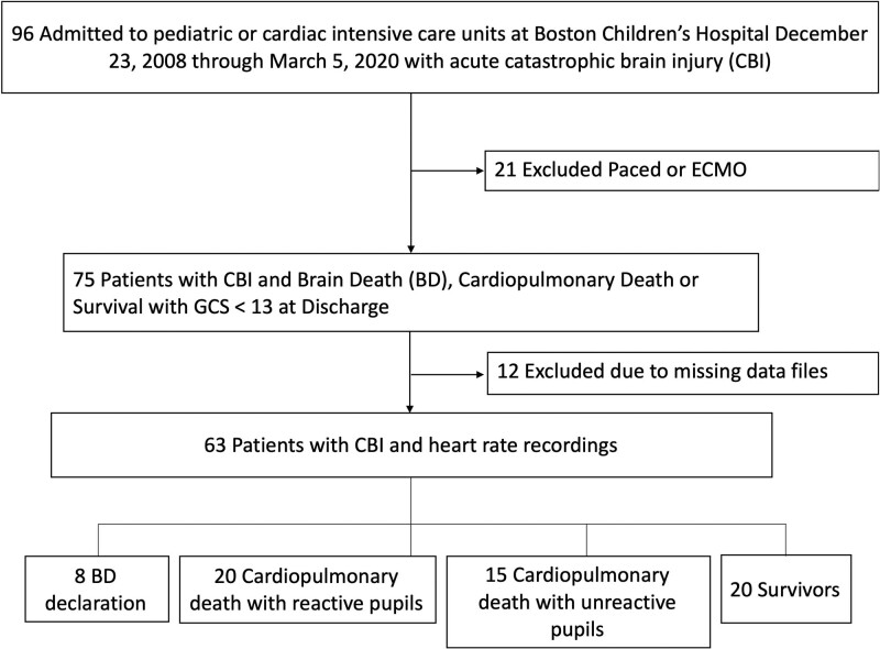 Heart Rate Change as a Potential Digital Biomarker of Brain Death in Critically Ill Children With Acute Catastrophic Brain Injury.