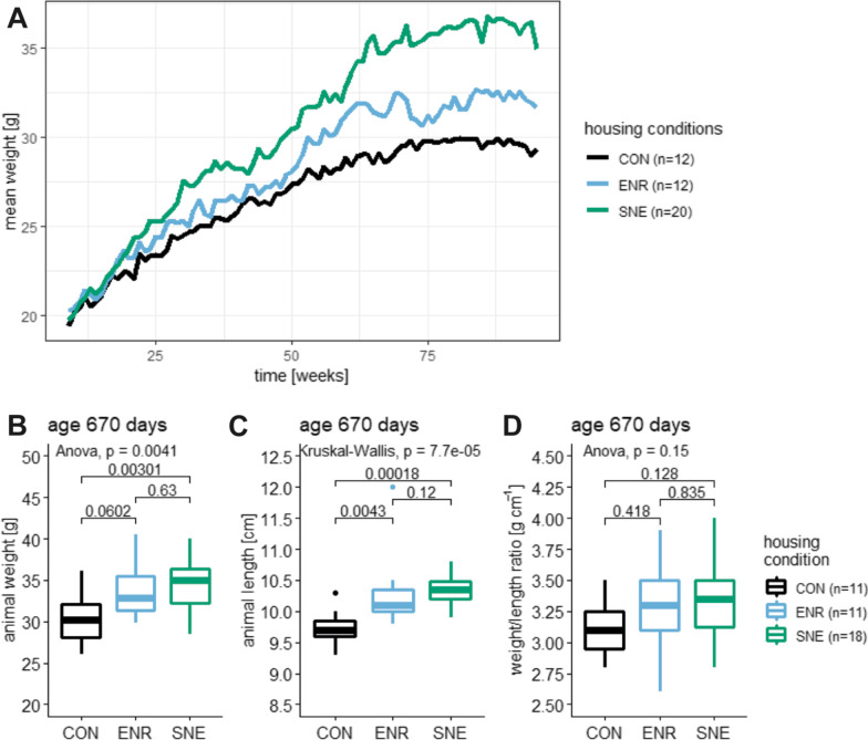 Effects of more natural housing conditions on the muscular and skeletal characteristics of female C57BL/6J mice.