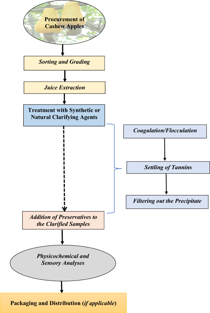 Mitigation of cashew apple fruits astringency.