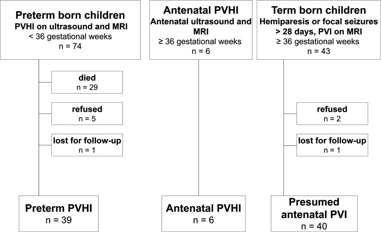 High Prevalence of Collagenopathies in Preterm- and Term-Born Children With Periventricular Venous Hemorrhagic Infarction.