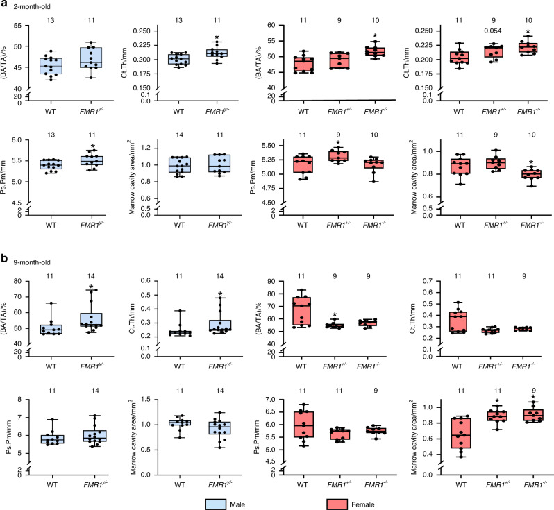 Fragile X Messenger Ribonucleoprotein 1 (FMR1), a novel inhibitor of osteoblast/osteocyte differentiation, regulates bone formation, mass, and strength in young and aged male and female mice.