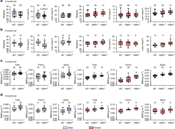 Fragile X Messenger Ribonucleoprotein 1 (FMR1), a novel inhibitor of osteoblast/osteocyte differentiation, regulates bone formation, mass, and strength in young and aged male and female mice.