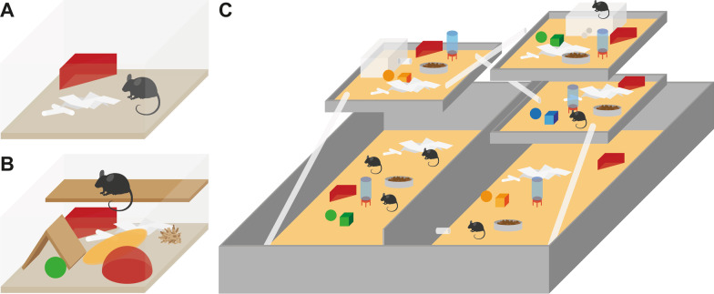 Effects of more natural housing conditions on the muscular and skeletal characteristics of female C57BL/6J mice.