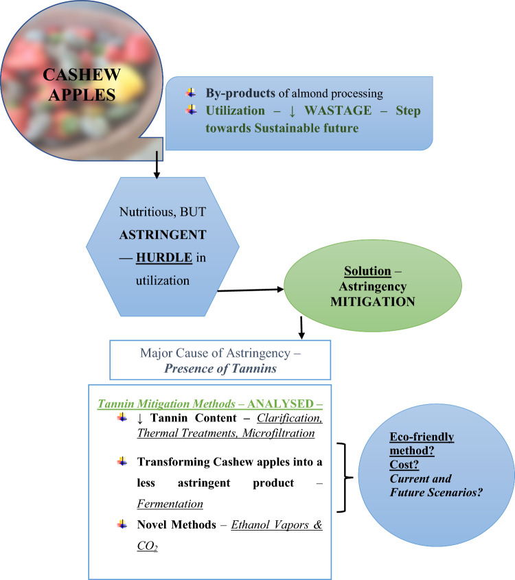 Mitigation of cashew apple fruits astringency.