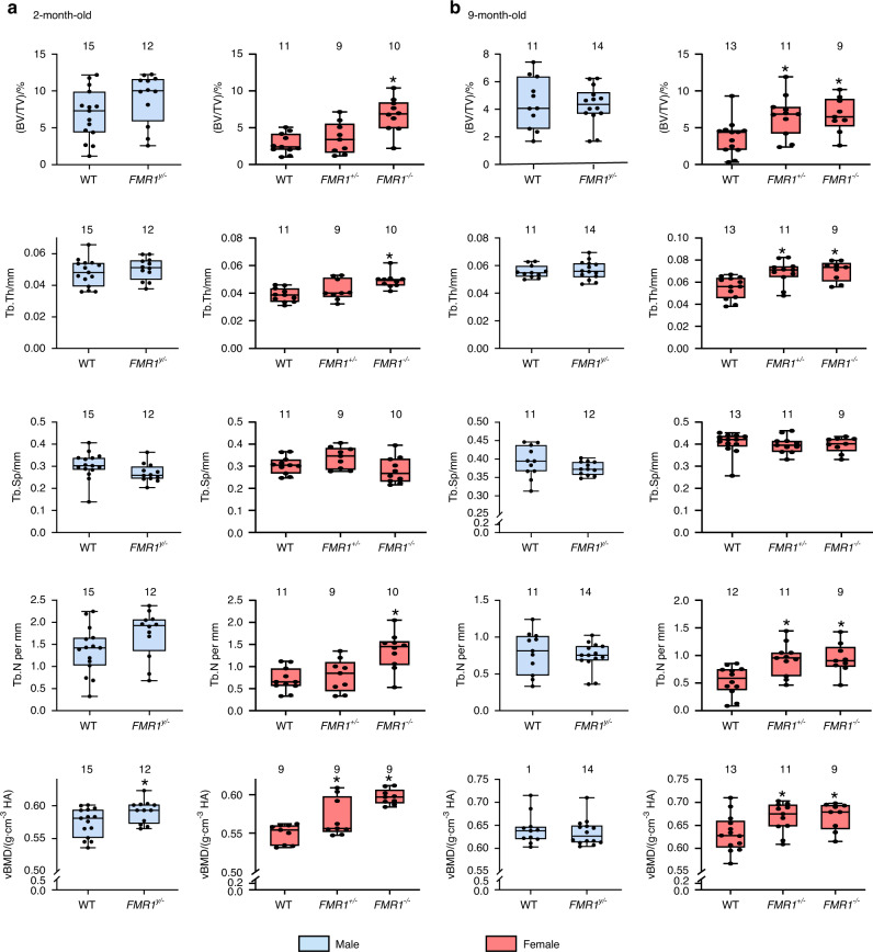 Fragile X Messenger Ribonucleoprotein 1 (FMR1), a novel inhibitor of osteoblast/osteocyte differentiation, regulates bone formation, mass, and strength in young and aged male and female mice.