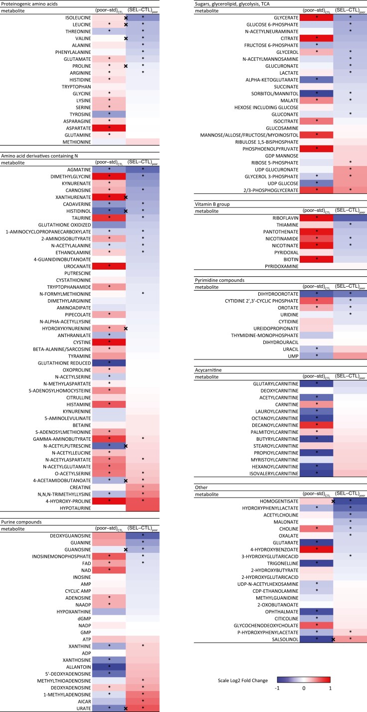 Experimental evolution of metabolism under nutrient restriction: enhanced amino acid catabolism and a key role of branched-chain amino acids.