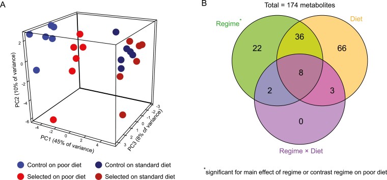 Experimental evolution of metabolism under nutrient restriction: enhanced amino acid catabolism and a key role of branched-chain amino acids.