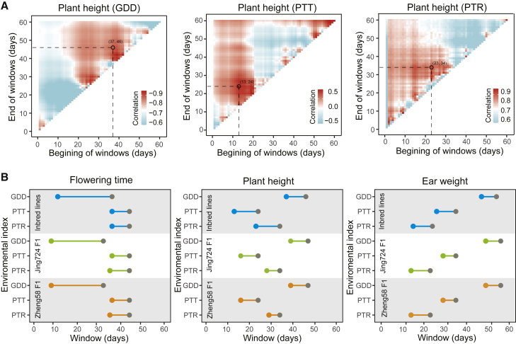 Modeling the influence of phenotypic plasticity on maize hybrid performance.