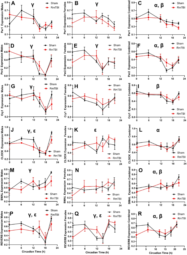 Repetitive mild traumatic brain injury alters central and peripheral clock gene expression in the adolescent rat