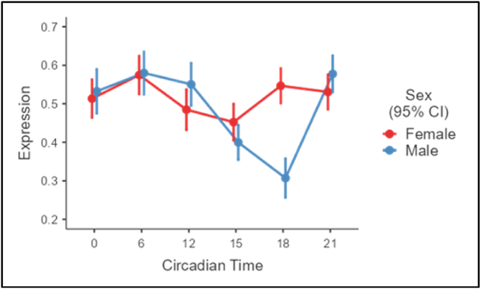 Repetitive mild traumatic brain injury alters central and peripheral clock gene expression in the adolescent rat