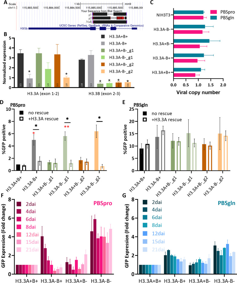 Differential effect of histone H3.3 depletion on retroviral repression in embryonic stem cells.