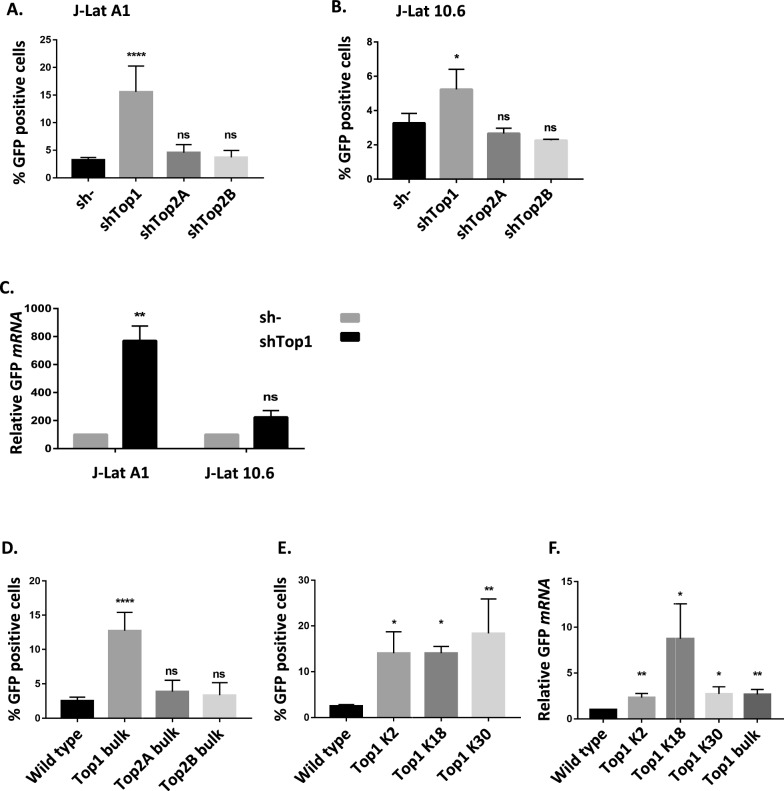 DNA topoisomerase 1 represses HIV-1 promoter activity through its interaction with a guanine quadruplex present in the LTR sequence.