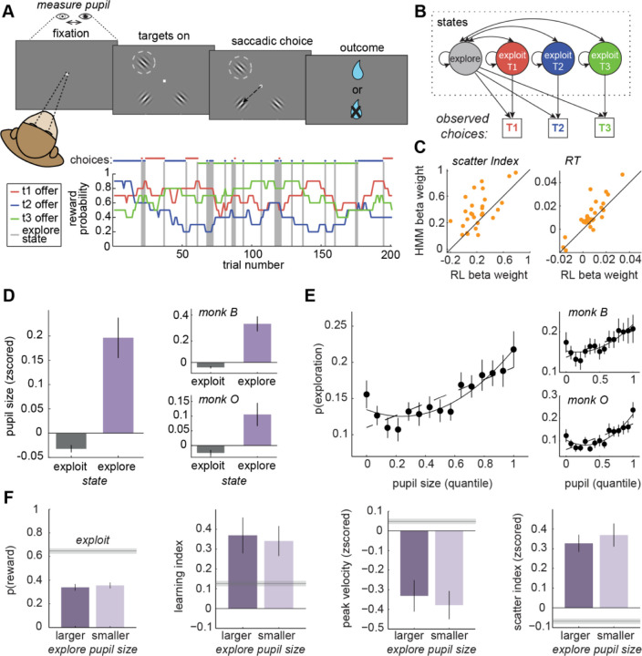Pupil size predicts the onset of exploration and changes in prefrontal dynamics.
