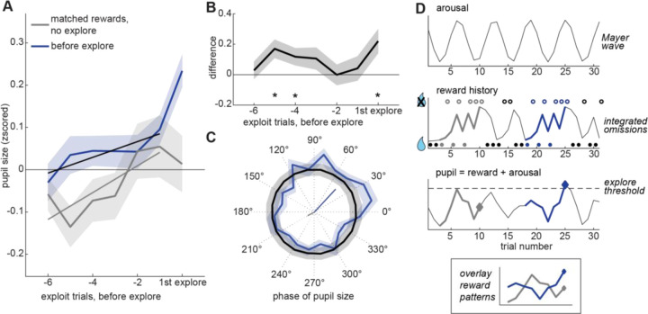 Pupil size predicts the onset of exploration and changes in prefrontal dynamics.