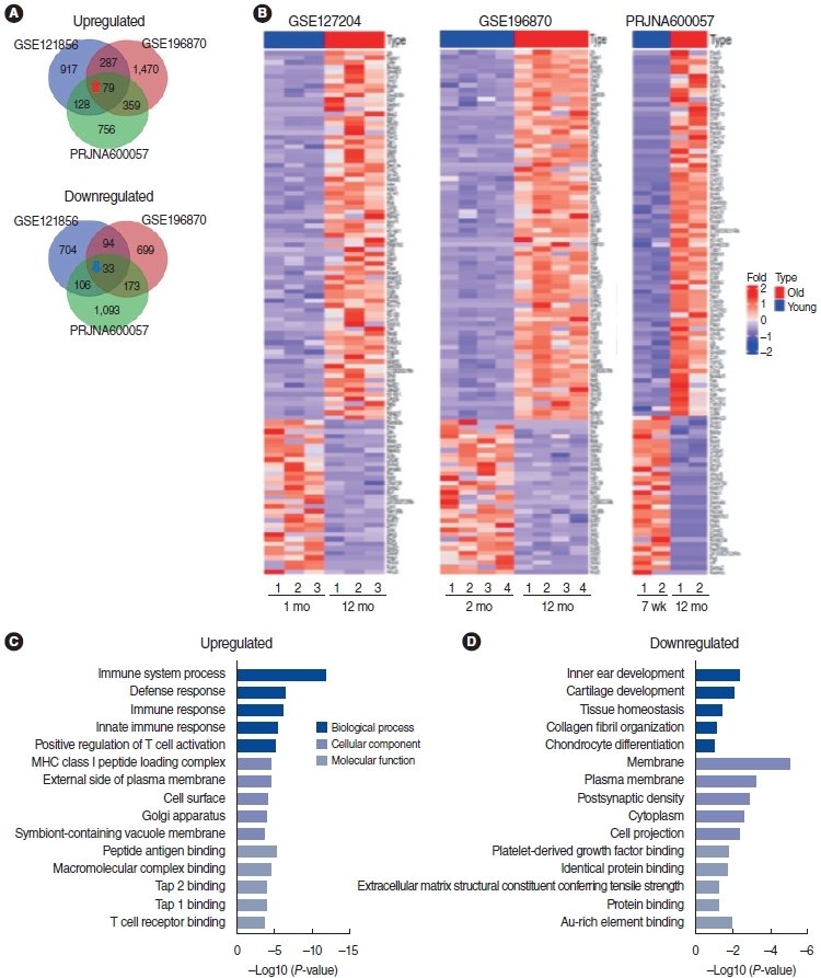 Identification and Characterization of mRNA and lncRNA Expression Profiles in Age-Related Hearing Loss.