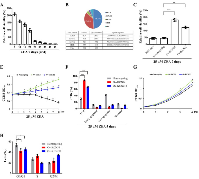 CRISPR-activation screen identified potassium channels for protection against mycotoxins through cell cycle progression and mitochondrial function.