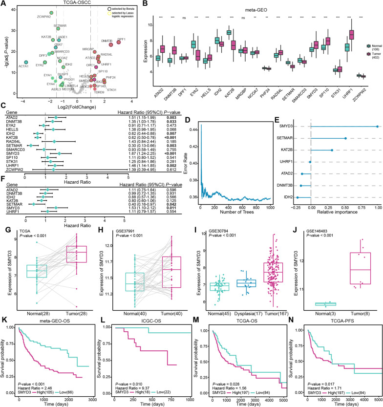 Histone lysine methyltransferase SMYD3 promotes oral squamous cell carcinoma tumorigenesis via H3K4me3-mediated HMGA2 transcription.