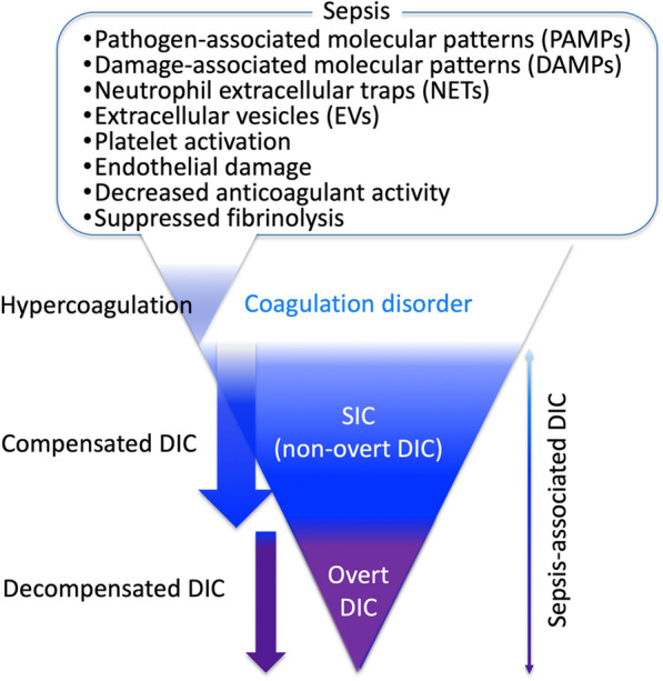 The pathophysiology, diagnosis, and management of sepsis-associated disseminated intravascular coagulation.