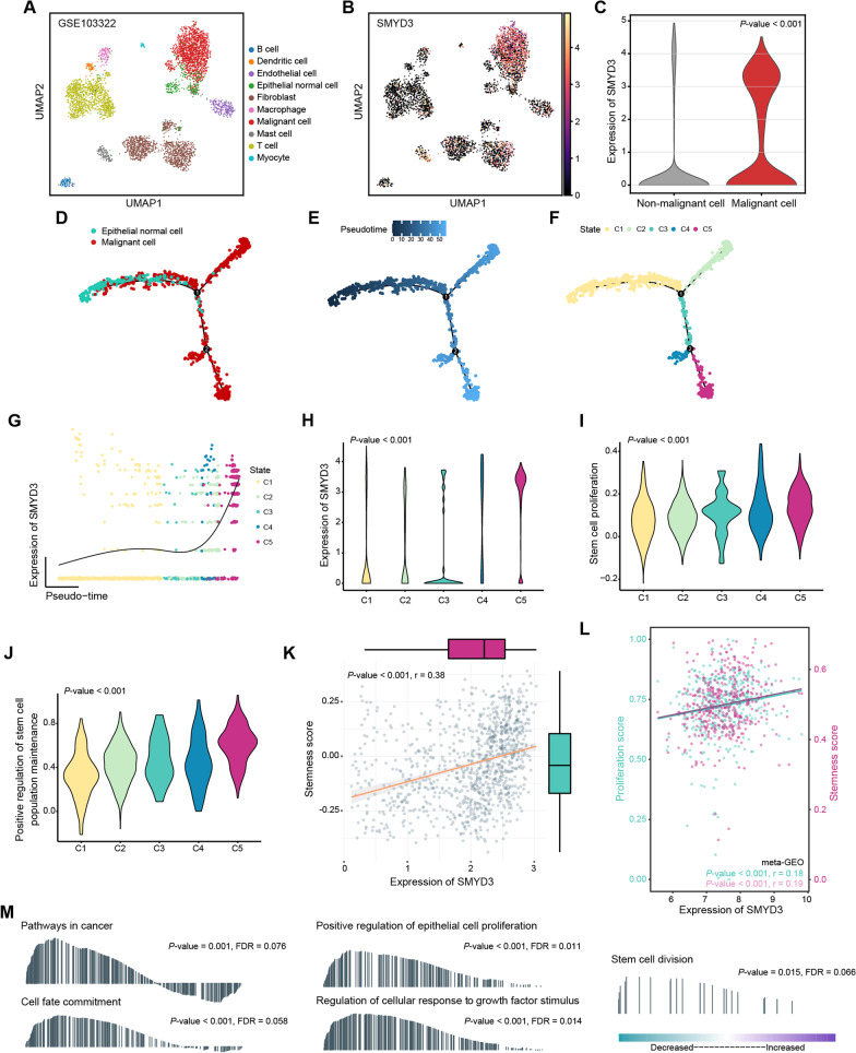 Histone lysine methyltransferase SMYD3 promotes oral squamous cell carcinoma tumorigenesis via H3K4me3-mediated HMGA2 transcription.