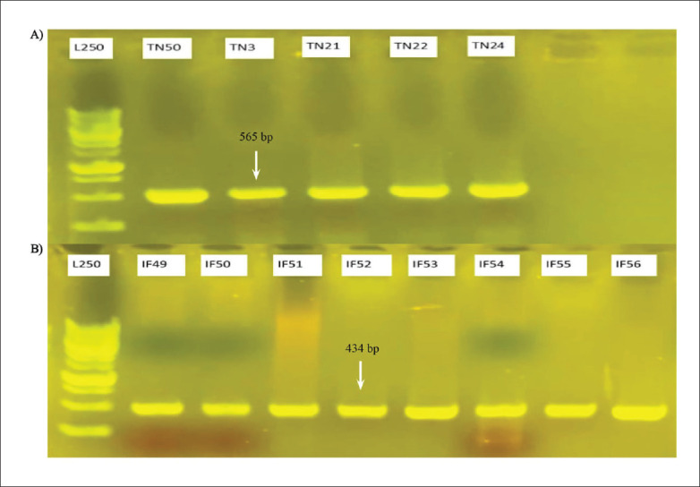 Demographic, clinical and genetic factors associated with COVID-19 disease susceptibility and mortality in a Kurdish population.