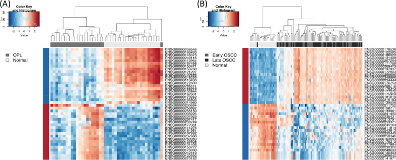 Genome-wide DNA methylation profiling of HPV-negative leukoplakia and gingivobuccal complex cancers.