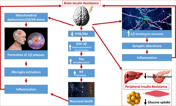 Emerging Evidence for the Use of Antidiabetic Drugs, Glucagon-like Peptide 1 Receptor Agonists, for the Treatment of Alzheimer's Disease.