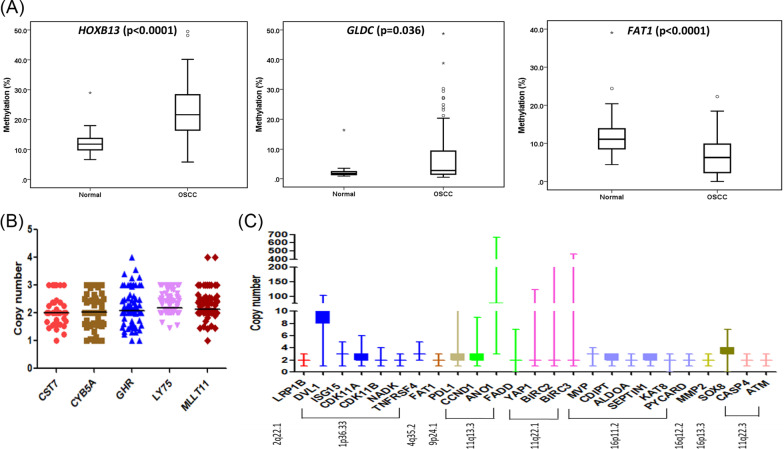 Genome-wide DNA methylation profiling of HPV-negative leukoplakia and gingivobuccal complex cancers.