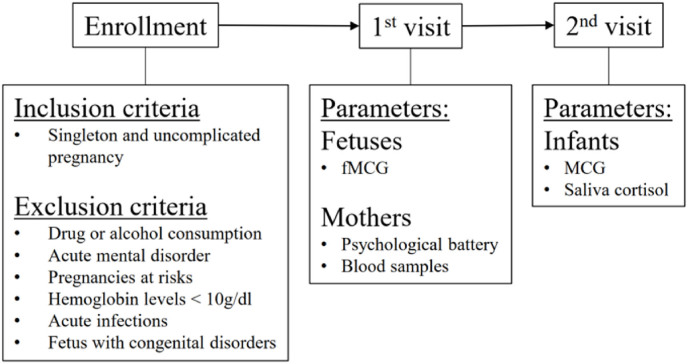 Impact of maternal emotional state during pregnancy on fetal heart rate variability