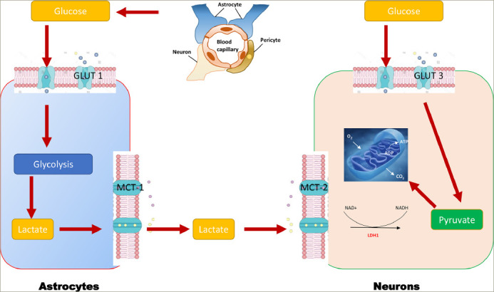 Emerging Evidence for the Use of Antidiabetic Drugs, Glucagon-like Peptide 1 Receptor Agonists, for the Treatment of Alzheimer's Disease.