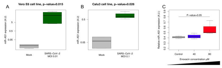 A microRNA Arising from the Negative Strand of SARS-CoV-2 Genome Targets FOS to Reduce AP-1 Activity.