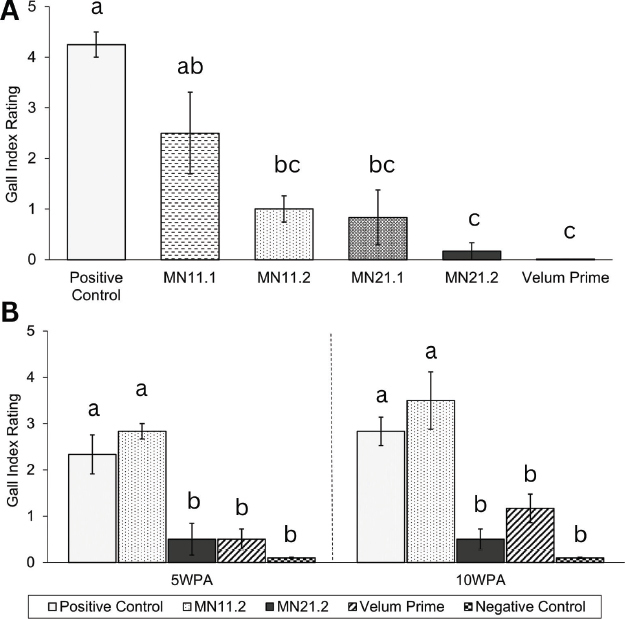 A New Biological Product Shows Promising Control of the Northern Root-Knot Nematode, <i>Meloidogyne hapla</i>, in Greenhouse Tomatoes.