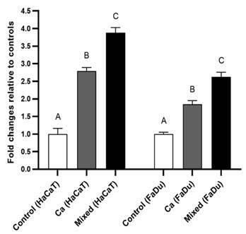 Epithelial responses and Candida albicans pathogenicity are enhanced in the presence of oral streptococci.