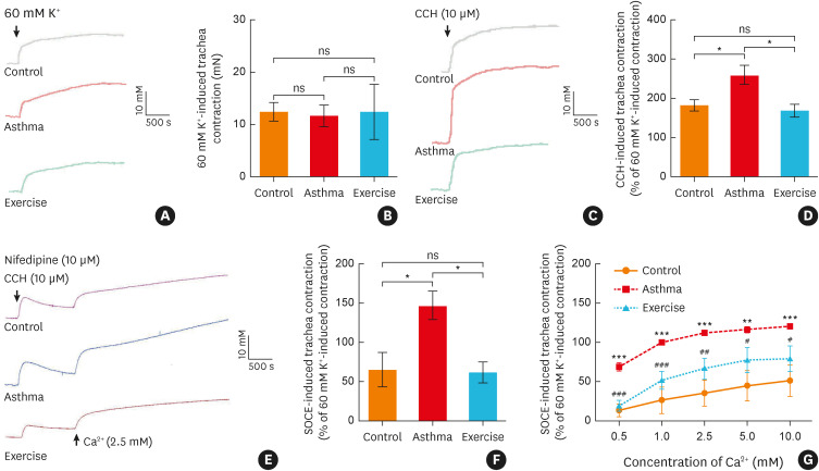 Exercise Reduces Airway Smooth Muscle Contraction in Asthmatic Rats via Inhibition of IL-4 Secretion and Store-Operated Ca<sup>2+</sup> Entry Pathway.