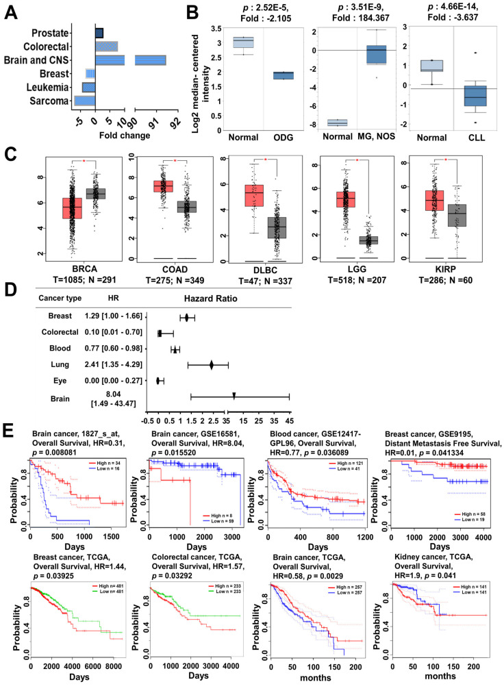 Alterations and Co-Occurrence of C-MYC, N-MYC, and L-MYC Expression are Related to Clinical Outcomes in Various Cancers.