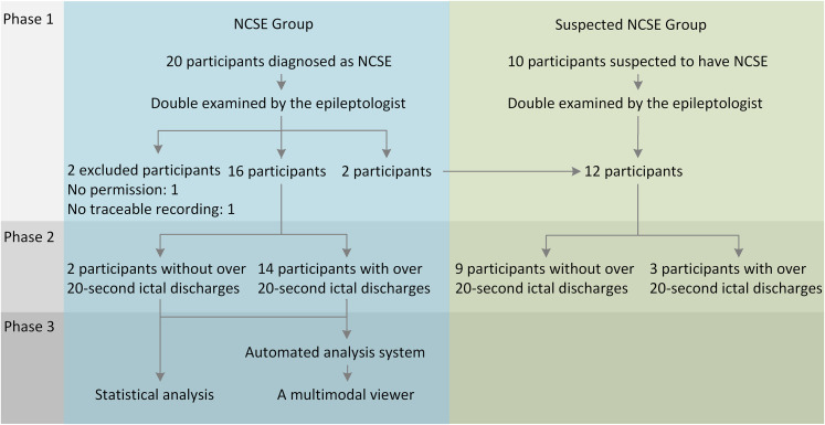 Pitfalls in EEG Analysis in Patients With Nonconvulsive Status Epilepticus: A Preliminary Study.