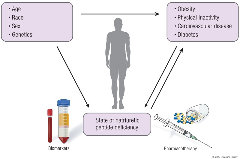 A State of Natriuretic Peptide Deficiency.