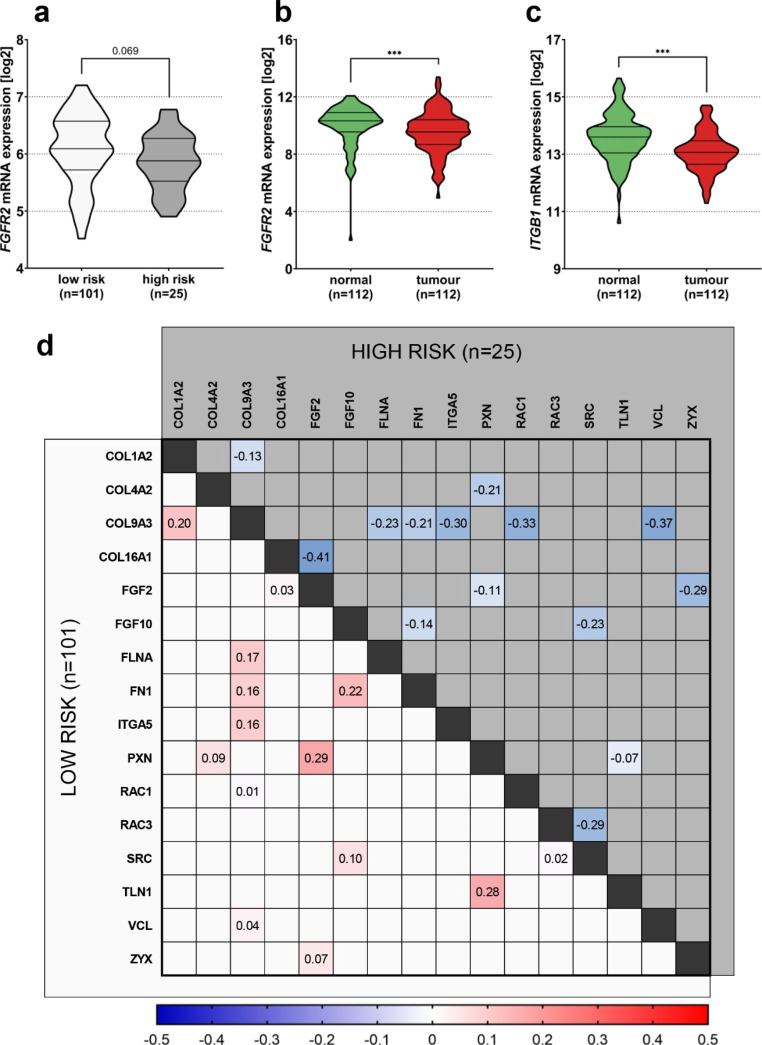 FGFR2 Controls Growth, Adhesion and Migration of Nontumorigenic Human Mammary Epithelial Cells by Regulation of Integrin β1 Degradation.