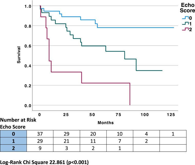 A novel echocardiographic risk score for light-chain amyloidosis.